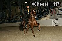 06reg14_1117 proof