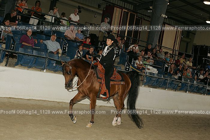 Proof 06reg14_1128