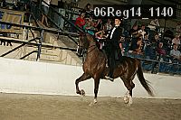 06reg14_1140 proof