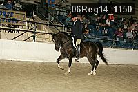06reg14_1150 proof