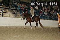 06reg14_1154 proof