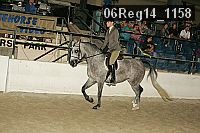 06reg14_1158 proof