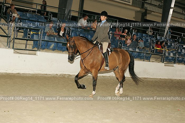 Proof 06reg14_1171