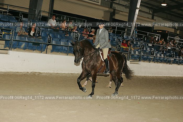 Proof 06reg14_1172
