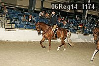 06reg14_1174 proof