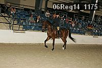 06reg14_1175 proof