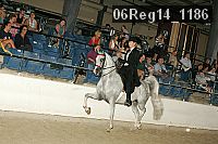 06reg14_1186 proof