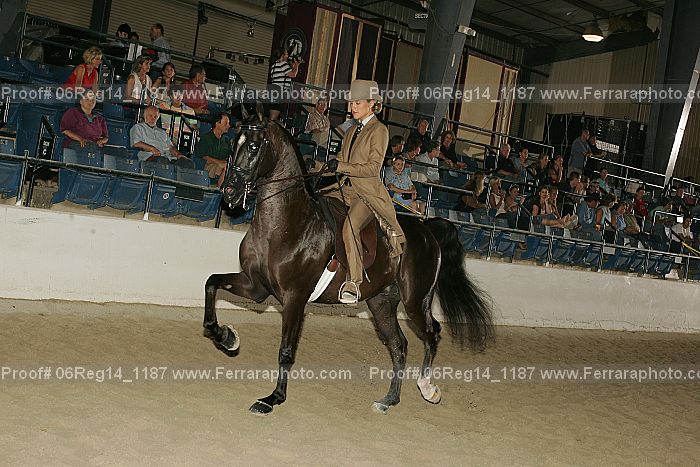 Proof 06reg14_1187