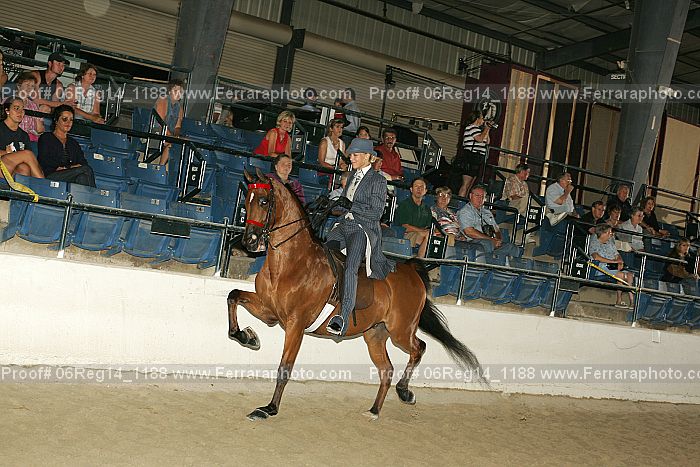 Proof 06reg14_1188