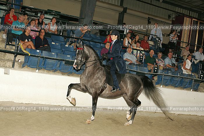 Proof 06reg14_1189