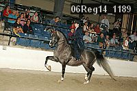 06reg14_1189 proof