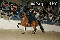 06reg14_1190 proof