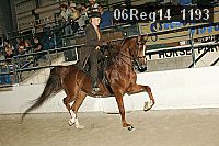 06reg14_1193 proof