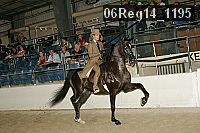 06reg14_1195 proof