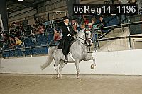 06reg14_1196 proof