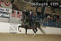 06reg14_1199 proof