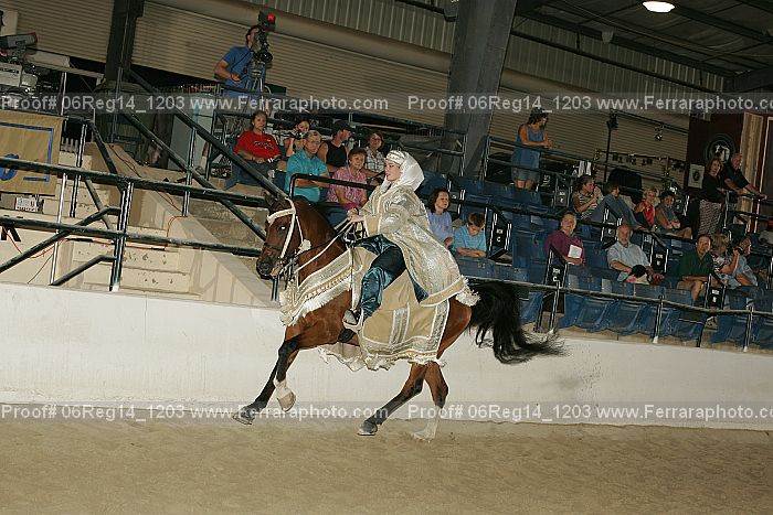Proof 06reg14_1203