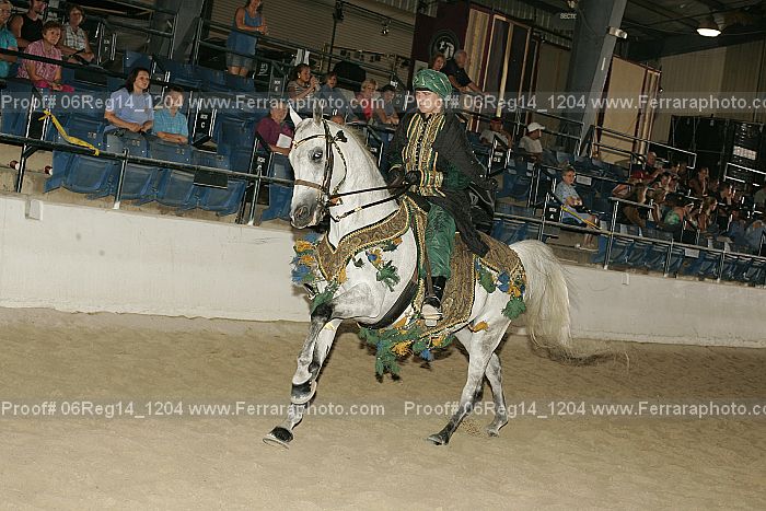 Proof 06reg14_1204