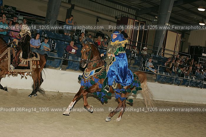 Proof 06reg14_1205