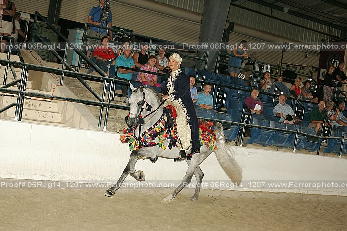 Proof 06reg14_1207
