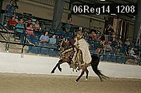 06reg14_1208 proof