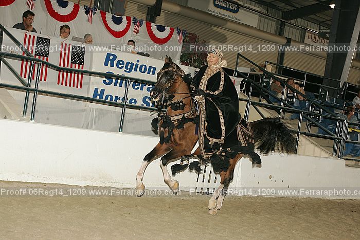 Proof 06reg14_1209