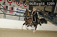 06reg14_1209 proof