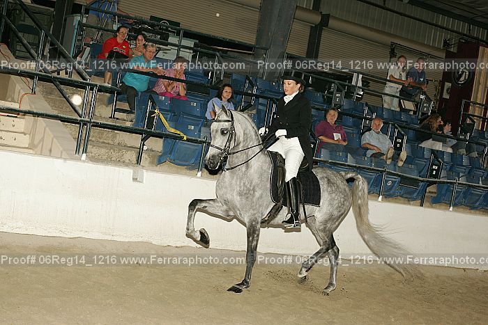 Proof 06reg14_1216