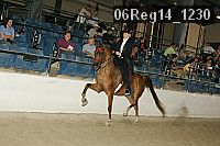 06reg14_1230 proof