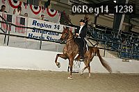 06reg14_1238 proof