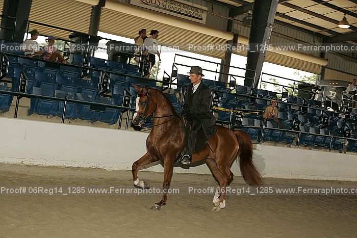 Proof 06reg14_1285