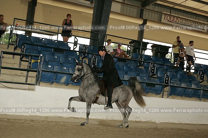 Proof 06reg14_1286