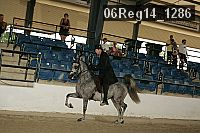 06reg14_1286 proof