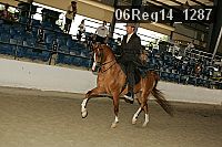 06reg14_1287 proof