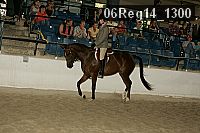 06reg14_1300 proof