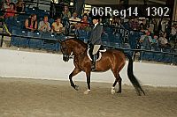 06reg14_1302 proof