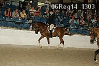 06reg14_1303 proof
