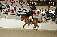 06reg14_1307 proof