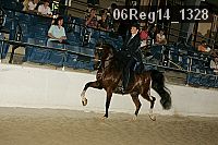06reg14_1328 proof