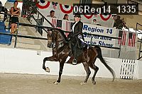 06reg14_1335 proof