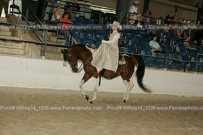 Proof 06reg14_1339