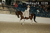 06reg14_1339 proof