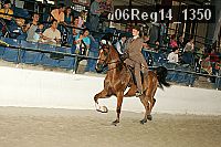 06reg14_1350 proof