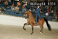 06reg14_1351 proof