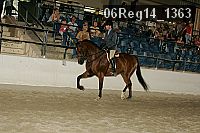06reg14_1363 proof