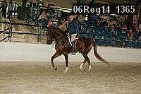 06reg14_1365 proof