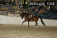 06reg14_1368 proof