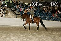 06reg14_1369 proof
