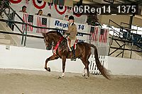 06reg14_1375 proof