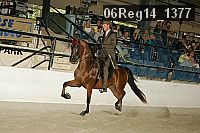 06reg14_1377 proof
